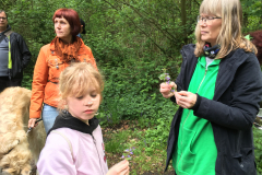 IMG_4251