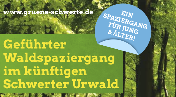 Waldspaziergang im künftigen Schwerter Urwald am 22.9.