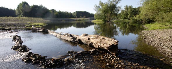 Mehr Natur für die Ruhr