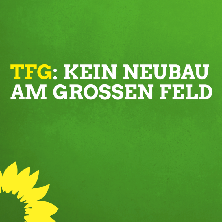 Grüne gegen Schulbau Am Großen Feld