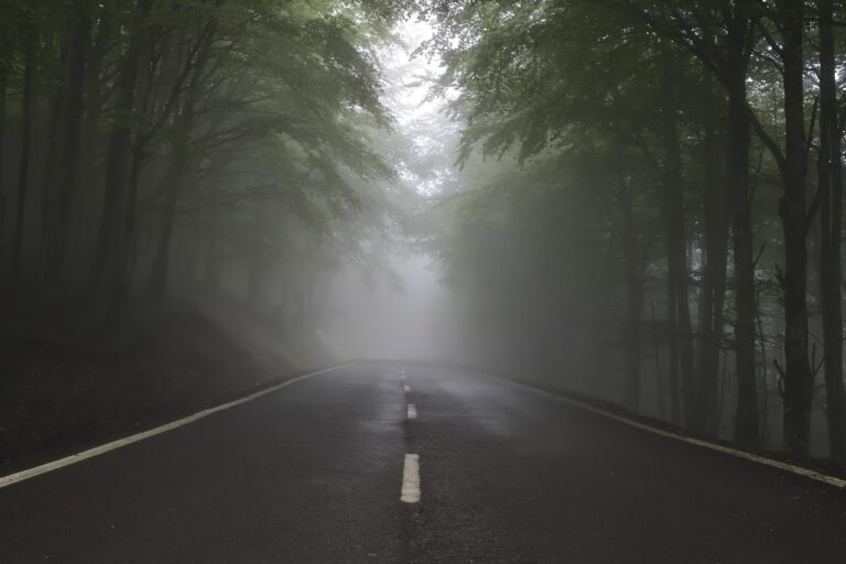 Kurswende gefährdet Energiewende: Grüne kritisieren Abstimmung über Bebauung der Waldstraße